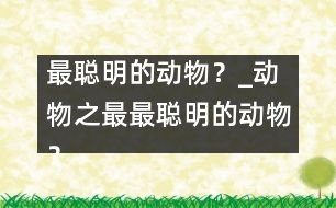 最聰明的動(dòng)物？_動(dòng)物之最：最聰明的動(dòng)物？