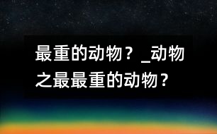 最重的動物？_動物之最：最重的動物？