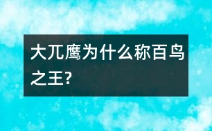大兀鷹為什么稱(chēng)百鳥(niǎo)之王?