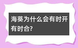?？麨槭裁磿袝r開有時合?