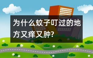 為什么蚊子叮過(guò)的地方又癢又腫?