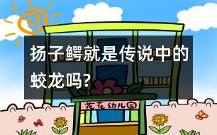 揚(yáng)子鱷就是傳說(shuō)中的蛟龍嗎?