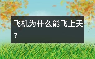 飛機(jī)為什么能飛上天？