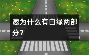 蔥為什么有白、綠兩部分？