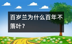 百歲蘭為什么百年不落葉？