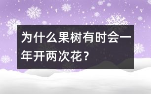 為什么果樹有時(shí)會(huì)一年開兩次花？