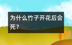 為什么竹子開花后會(huì)死？