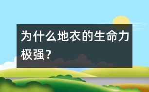 為什么地衣的生命力極強？
