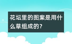 花壇里的圖案是用什么草組成的？