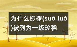 為什么桫欏(suō luó)被列為一級(jí)珍稀植物？