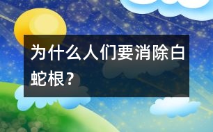 為什么人們要消除白蛇根？