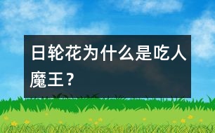 日輪花為什么是“吃人魔王”？