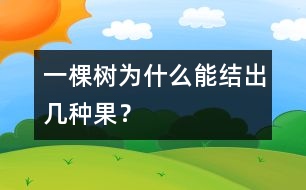 一棵樹為什么能結(jié)出幾種果？