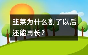 韭菜為什么割了以后還能再長？