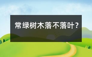 常綠樹木落不落葉？