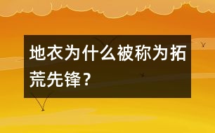 地衣為什么被稱為拓荒先鋒？