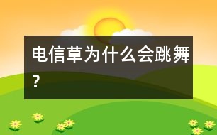 電信草為什么會跳舞？