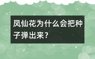 鳳仙花為什么會把種子彈出來？