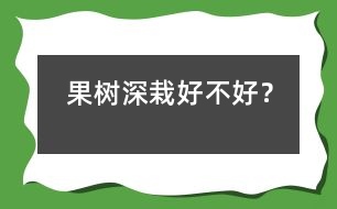 果樹深栽好不好？