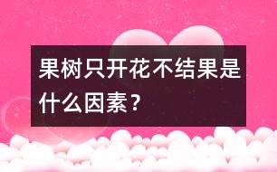 果樹只開花不結(jié)果是什么因素？