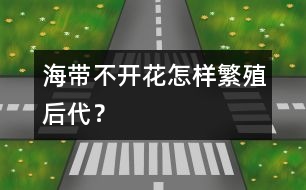 海帶不開花怎樣繁殖后代？