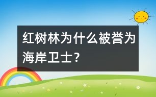 紅樹林為什么被譽為“海岸衛(wèi)士”？