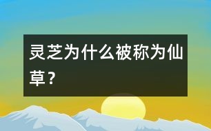 靈芝為什么被稱為“仙草”？
