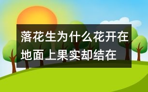 落花生為什么花開(kāi)在地面上,果實(shí)卻結(jié)在地下？