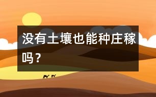 沒有土壤也能種莊稼嗎？