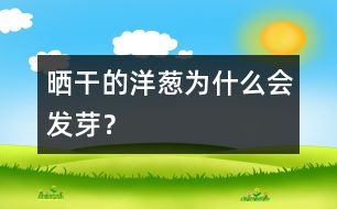 曬干的洋蔥為什么會發(fā)芽？