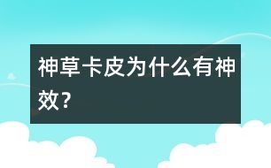神草“卡皮”為什么有神效？