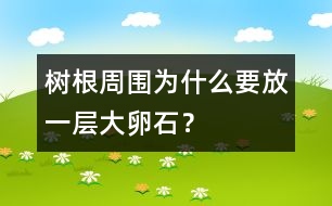樹(shù)根周?chē)鸀槭裁匆乓粚哟舐咽?></p>
因?yàn)樵谕寥览?,土粒之間有許多空隙。土壤里的水分會(huì)順著這些空隙往上爬。這樣,太陽(yáng)一曬,水分就蒸發(fā)了,土壤里的水分就會(huì)減少。為了保持根部的水分,在樹(shù)周?chē)判┐舐咽?,水分就跑到大卵石下面,不易被蒸發(fā)了。<br> <BR> </div>
</div>
</div>
<div id=