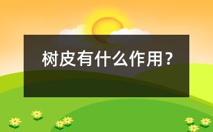 樹(shù)皮有什么作用？