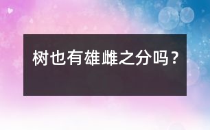 樹也有雄雌之分嗎？