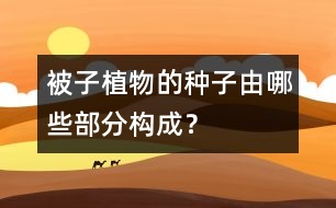 被子植物的種子由哪些部分構(gòu)成？