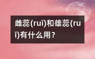 雌蕊(ruǐ)和雄蕊(ruǐ)有什么用？