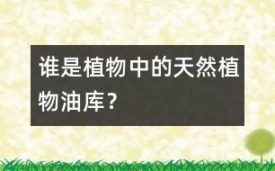 誰是植物中的“天然植物油庫”？