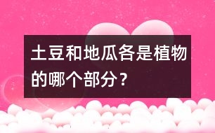 土豆和地瓜各是植物的哪個部分？