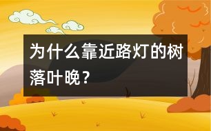 為什么靠近路燈的樹(shù)落葉晚？