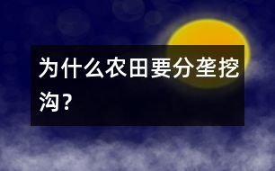 為什么農(nóng)田要分壟挖溝？