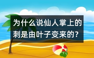 為什么說仙人掌上的刺是由葉子變來的？