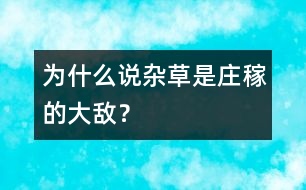 為什么說雜草是莊稼的大敵？