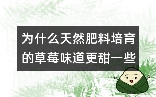 為什么天然肥料培育的草莓味道更甜一些？