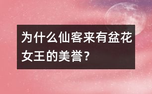 為什么仙客來有“盆花女王”的美譽(yù)？