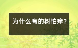 為什么有的樹(shù)怕癢？