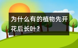 為什么有的植物先開花后長(zhǎng)葉？