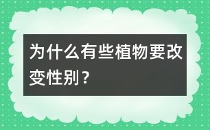 為什么有些植物要改變性別？
