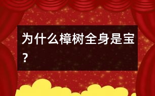 為什么樟樹全身是寶？