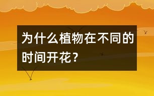 為什么植物在不同的時(shí)間開花？