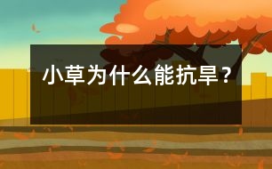 小草為什么能抗旱？
